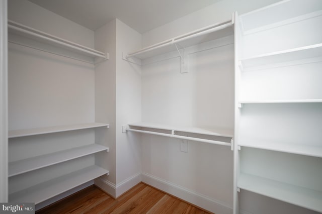 spacious closet with hardwood / wood-style flooring