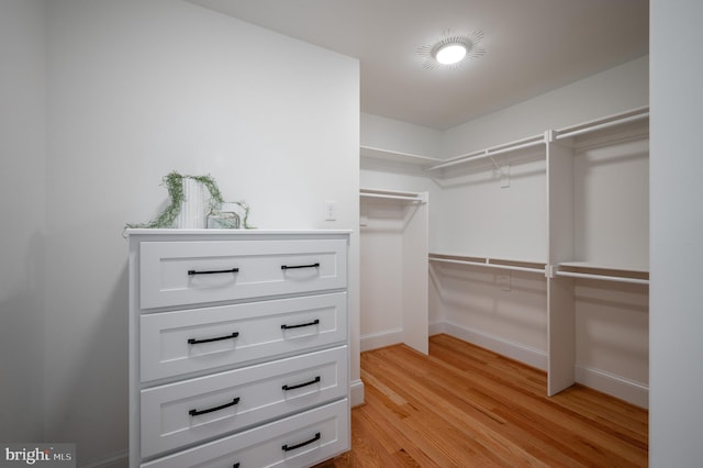 walk in closet with light wood-type flooring