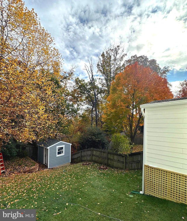 view of yard featuring a shed