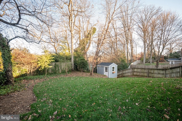 view of yard with a shed