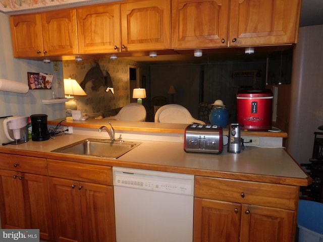 kitchen with dishwasher and sink