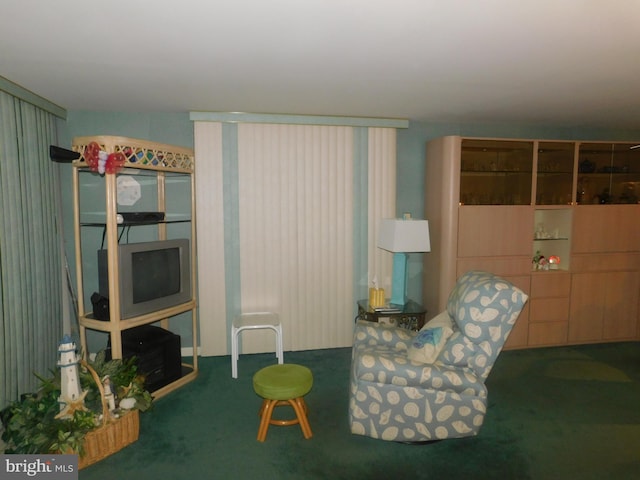 living area featuring dark colored carpet