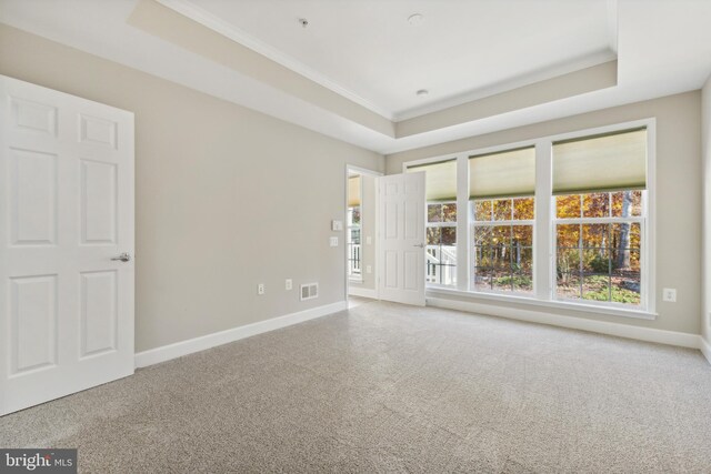 unfurnished room featuring carpet flooring and a raised ceiling