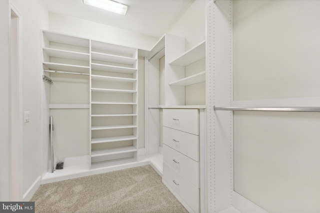 walk in closet featuring light colored carpet