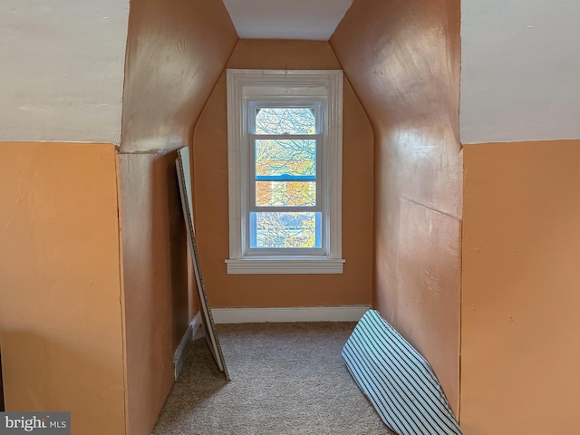 additional living space with vaulted ceiling and carpet