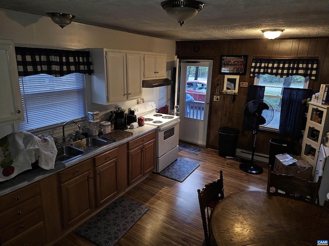 kitchen featuring white electric range oven, wood walls, a healthy amount of sunlight, and sink