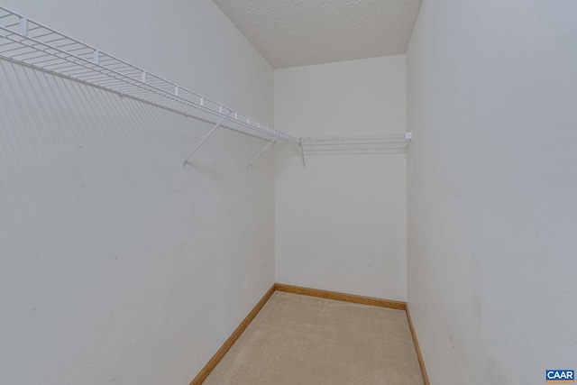 walk in closet with light colored carpet