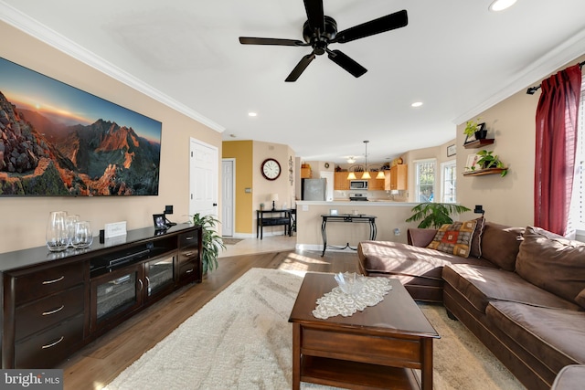 living room featuring ceiling fan with notable chandelier, light hardwood / wood-style flooring, and crown molding