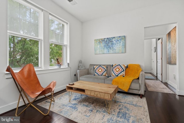 living room featuring dark wood-type flooring