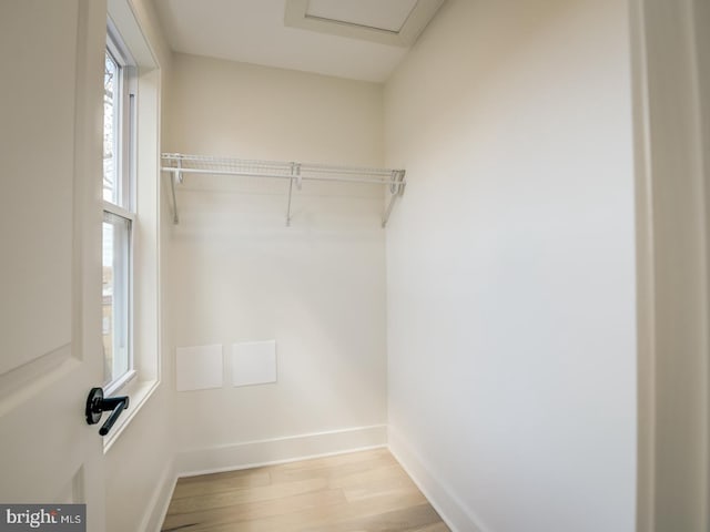 spacious closet featuring light hardwood / wood-style flooring