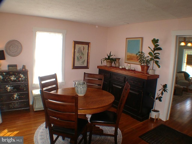 dining room featuring hardwood / wood-style floors, plenty of natural light, and a textured ceiling