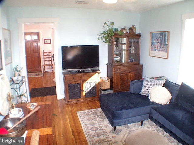 living room featuring wood-type flooring