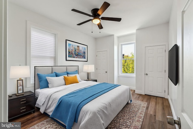 bedroom featuring ceiling fan and dark hardwood / wood-style floors