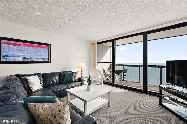 carpeted living room featuring a textured ceiling and floor to ceiling windows