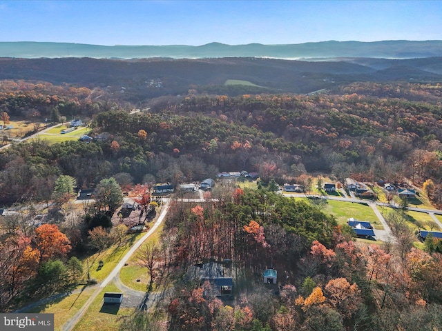 drone / aerial view with a mountain view