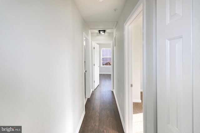 hallway with dark wood-type flooring