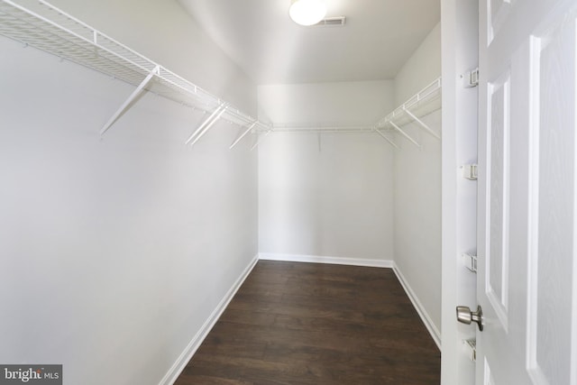 spacious closet with dark wood-type flooring