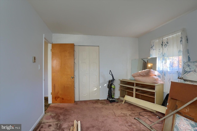 miscellaneous room with carpet flooring