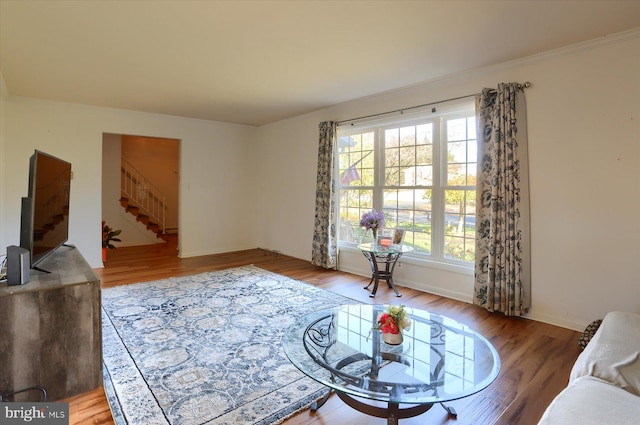 living room with wood-type flooring