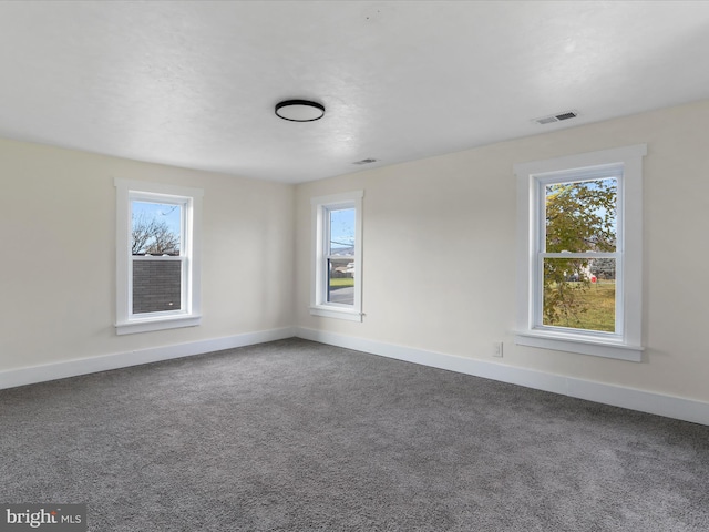 carpeted spare room with plenty of natural light