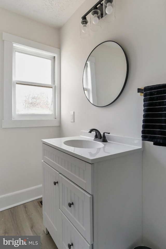 bathroom with hardwood / wood-style flooring and vanity