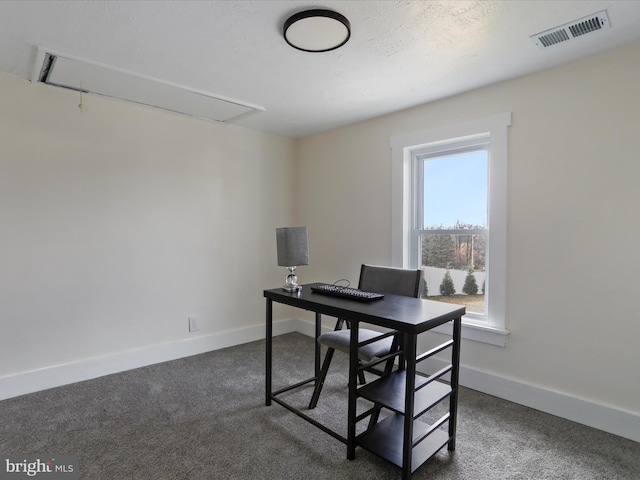 view of carpeted home office