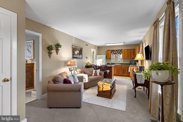 view of carpeted living room