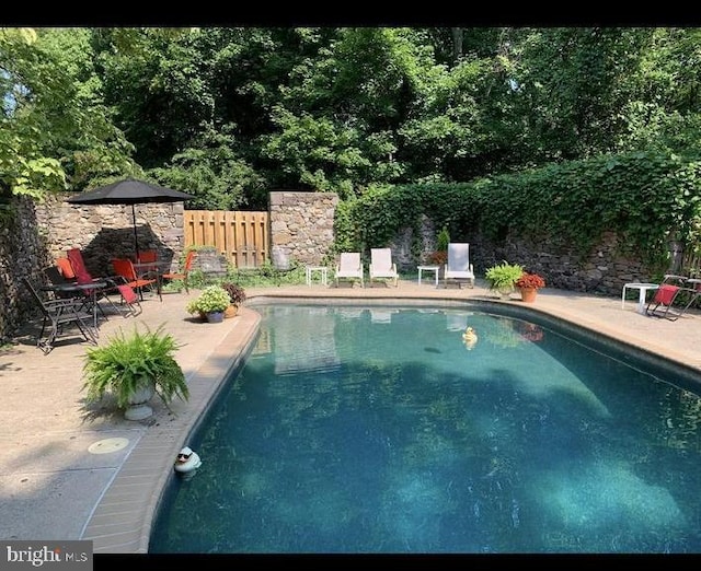 view of swimming pool featuring a patio