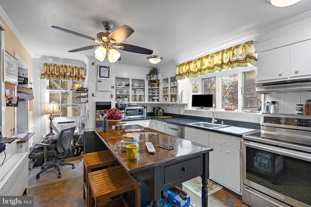 1324 River Rd, New Hope, PA 18938 - kitchen with stainless steel appliances, under cabinet range hood, a sink, crown molding, and dark countertops
