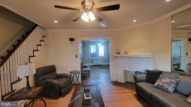 living room with hardwood / wood-style flooring, ceiling fan, crown molding, and radiator