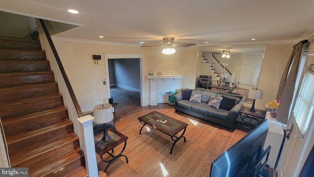 living room with hardwood / wood-style flooring, ceiling fan, and crown molding