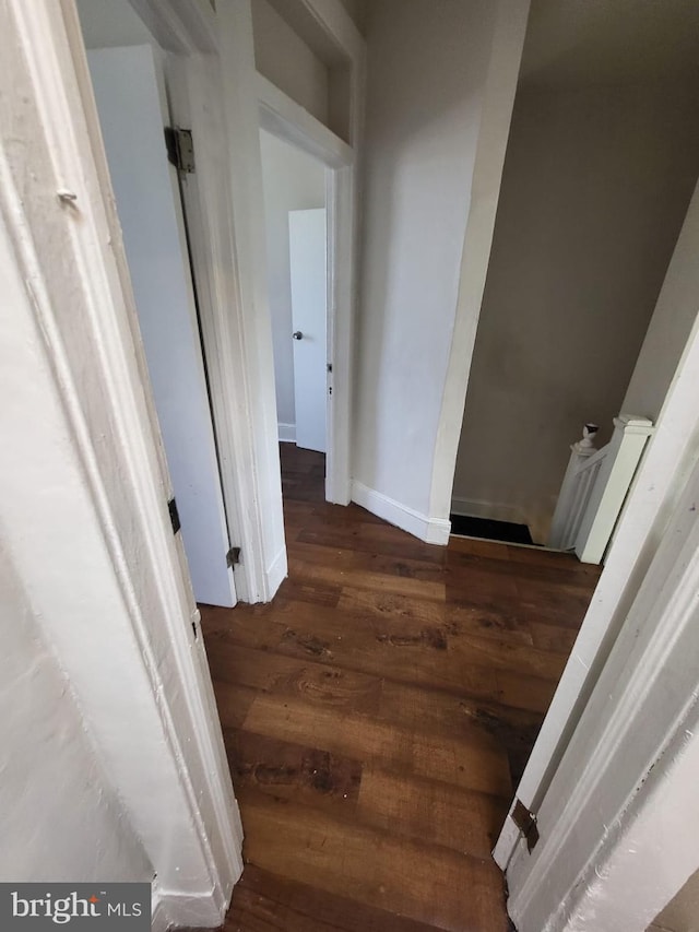 hallway featuring dark hardwood / wood-style flooring