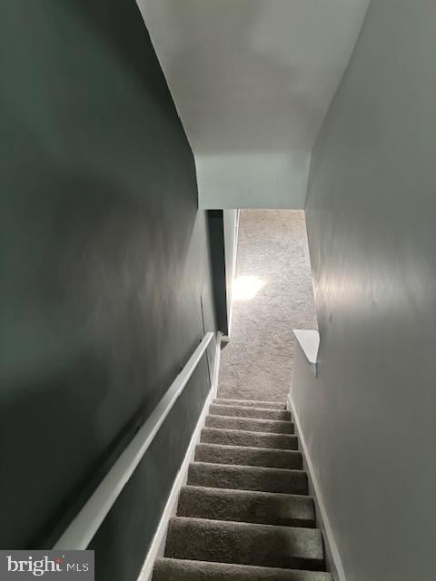 staircase with carpet floors