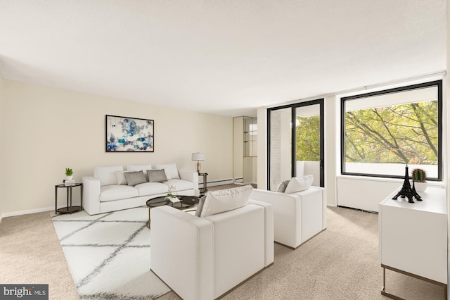 1250 4th St SW Unit W214, Washington, DC 20024 - living room with light carpet, baseboards, and a baseboard radiator