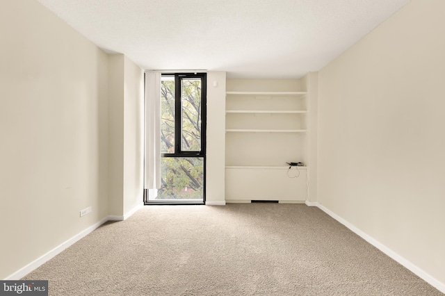 1250 4th St SW Unit W214, Washington, DC 20024 - empty room with carpet, baseboards, and a textured ceiling