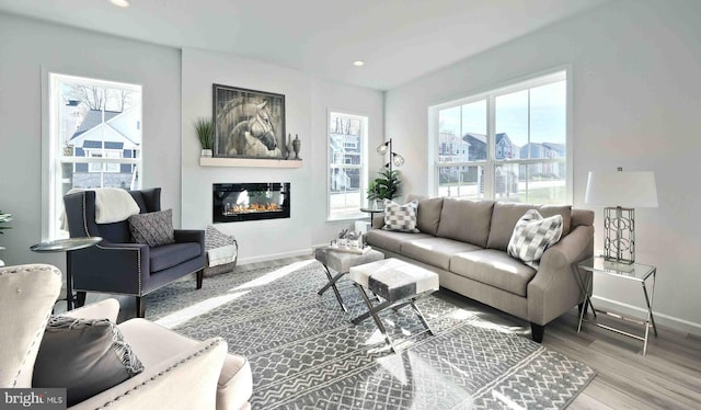 living room featuring light hardwood / wood-style floors