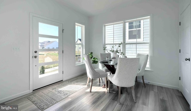 dining room featuring a healthy amount of sunlight and light hardwood / wood-style flooring