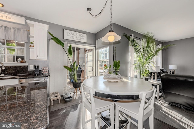 dining room featuring sink and dark wood-type flooring