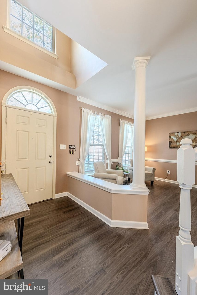 foyer featuring dark hardwood / wood-style flooring, crown molding, and plenty of natural light