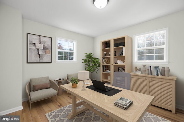 office space with a healthy amount of sunlight and light hardwood / wood-style flooring