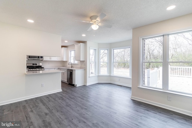 kitchen with sink, white cabinets, stainless steel appliances, and dark hardwood / wood-style floors