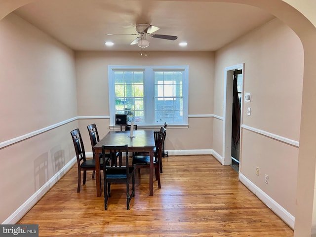 dining space featuring light hardwood / wood-style floors and ceiling fan