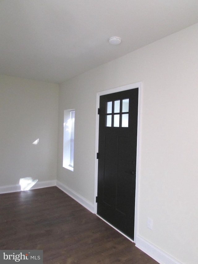 entryway featuring dark wood-type flooring