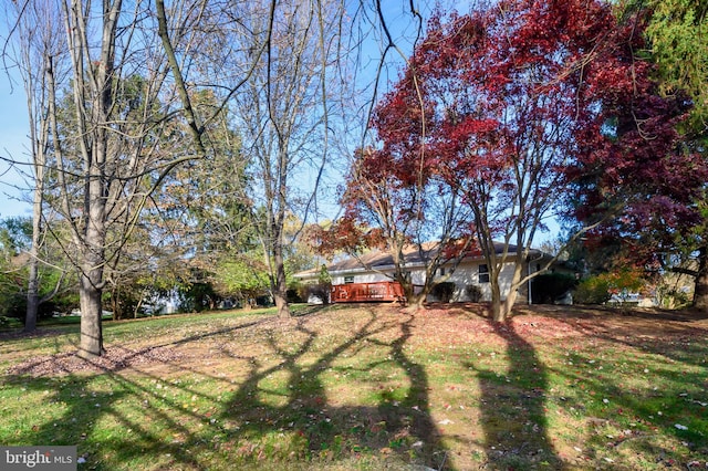 view of yard with a deck