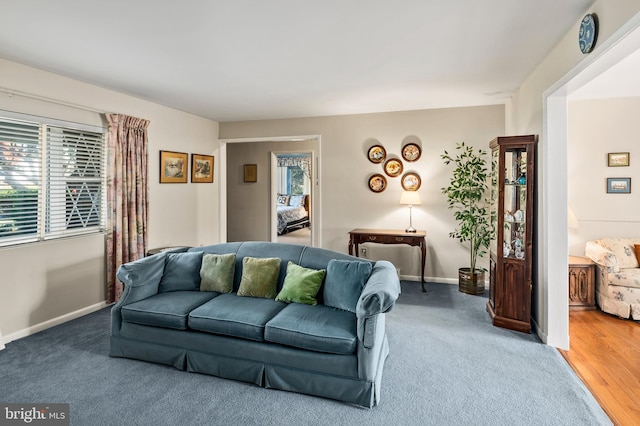 living room featuring wood-type flooring