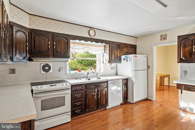 kitchen with dark brown cabinets, light hardwood / wood-style flooring, sink, and white appliances