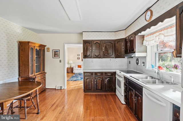 kitchen featuring dark brown cabinetry, white appliances, sink, and light hardwood / wood-style flooring