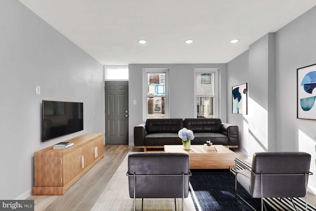 living room featuring light wood-type flooring