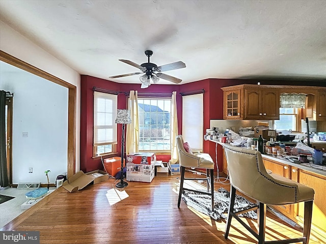 kitchen with wood-type flooring and ceiling fan