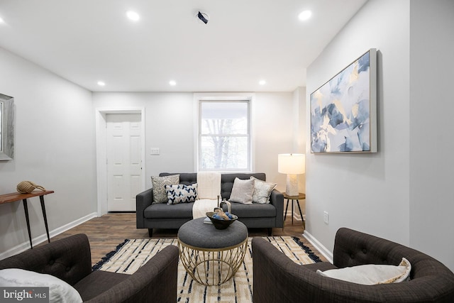 living room featuring hardwood / wood-style floors